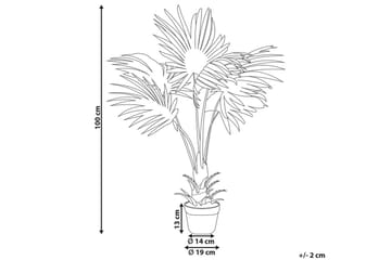 Konstgjord växt Fan Palm - Inredning - Dekoration & inredningsdetaljer - Prydnadssaker - Blomsterdekoration