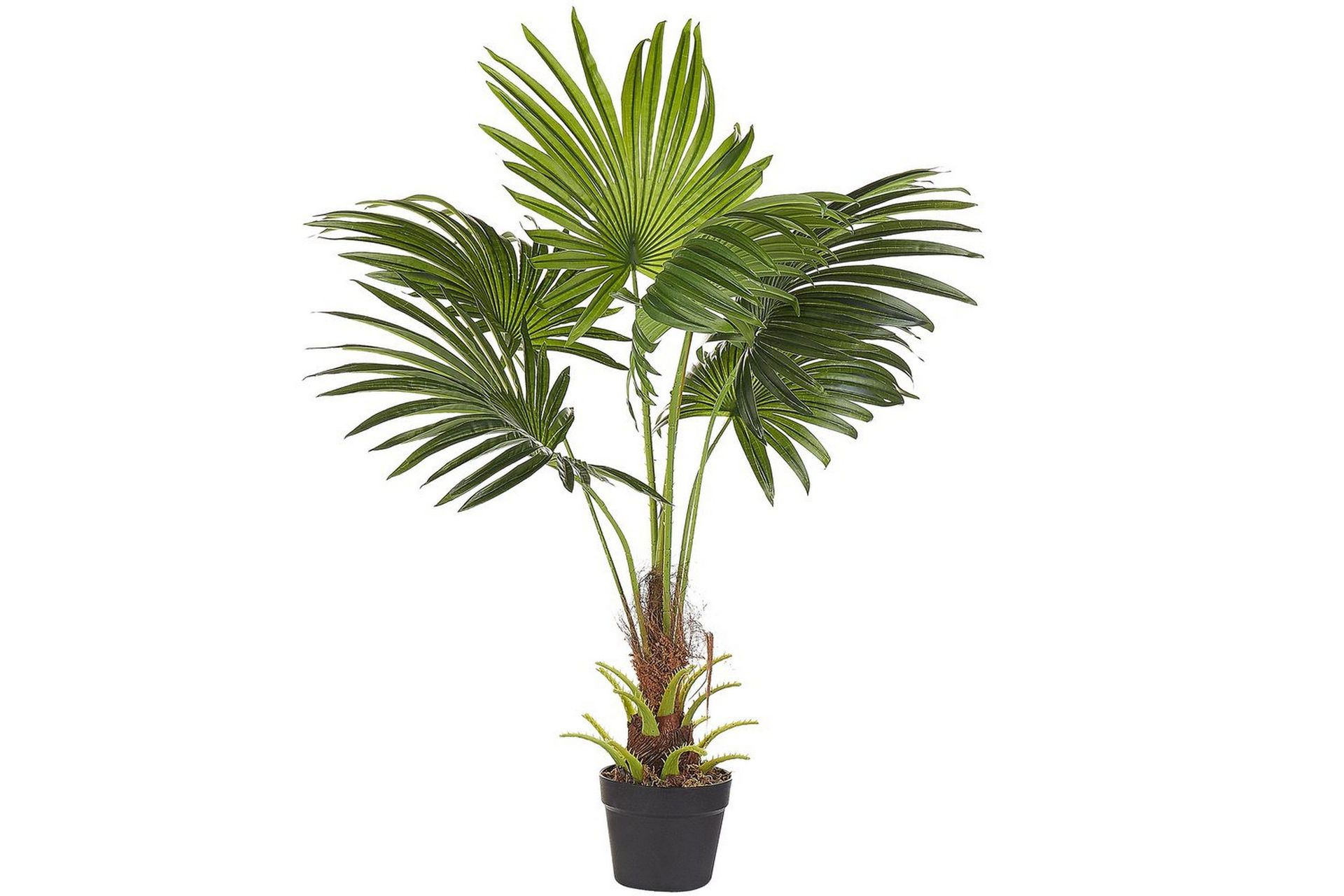 Konstgjord växt Fan Palm - Inredning | Chilli