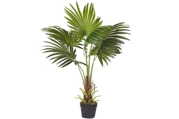 Konstgjord växt Fan Palm - Inredning - Dekoration & inredningsdetaljer - Prydnadssaker - Blomsterdekoration