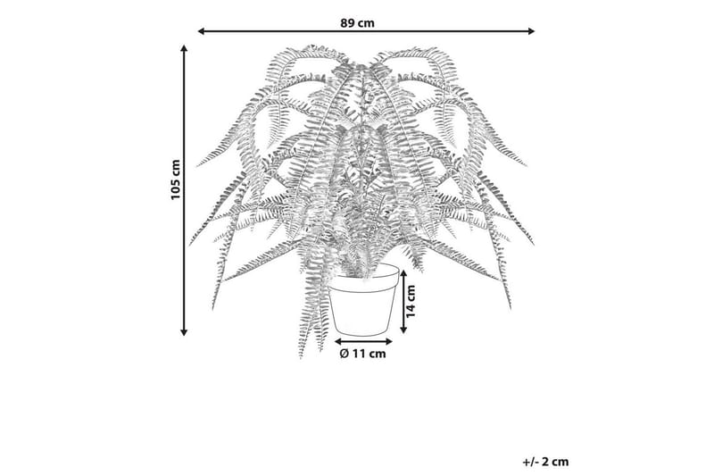 Konstgjord växt Fern Leaf Plant - Inredning - Dekoration & inredningsdetaljer - Prydnadssaker - Blomsterdekoration