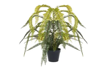 Konstgjord växt Fern Leaf Plant - Inredning - Dekoration & inredningsdetaljer - Prydnadssaker - Blomsterdekoration