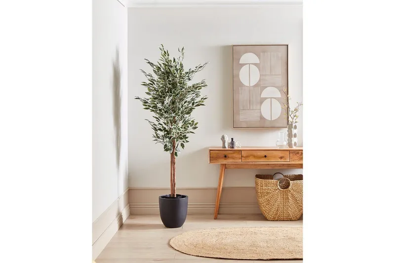 Konstgjord växt Ficus - Inredning - Dekoration & inredningsdetaljer - Prydnadssaker - Blomsterdekoration