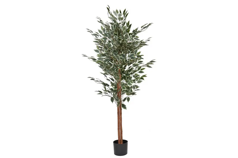 Konstgjord växt Ficus