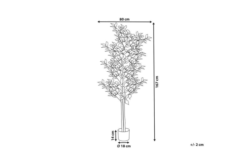 Konstgjord växt Ficus - Inredning - Dekoration & inredningsdetaljer - Prydnadssaker - Blomsterdekoration