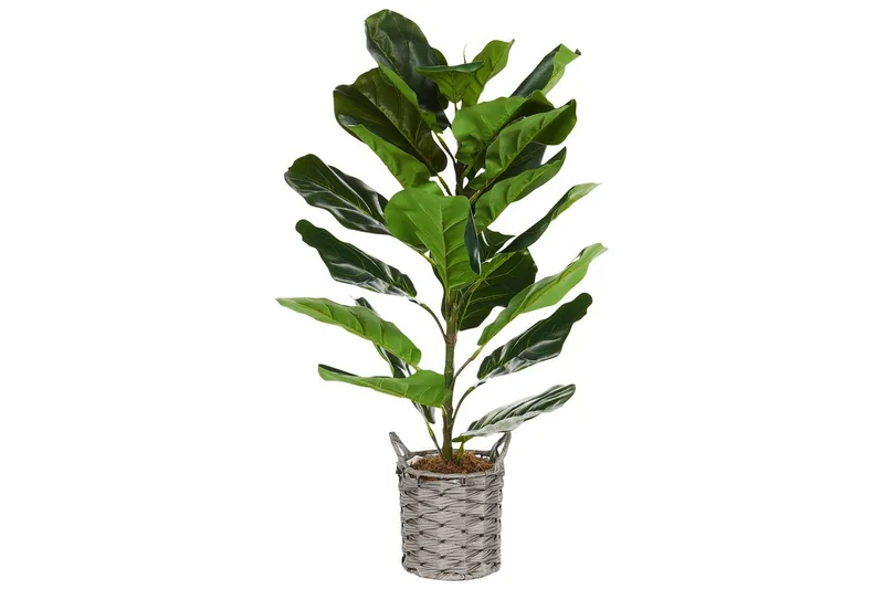 Konstgjord växt Fiddle Leaf Tree - Inredning - Dekoration & inredningsdetaljer - Prydnadssaker - Blomsterdekoration