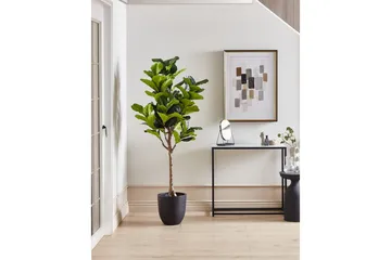Konstgjord växt Fig Tree - Inredning - Dekoration & inredningsdetaljer - Prydnadssaker - Blomsterdekoration