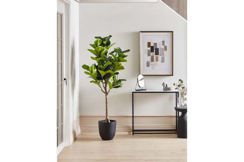 Konstgjord växt Fig Tree - Inredning - Dekoration & inredningsdetaljer - Prydnadssaker - Blomsterdekoration