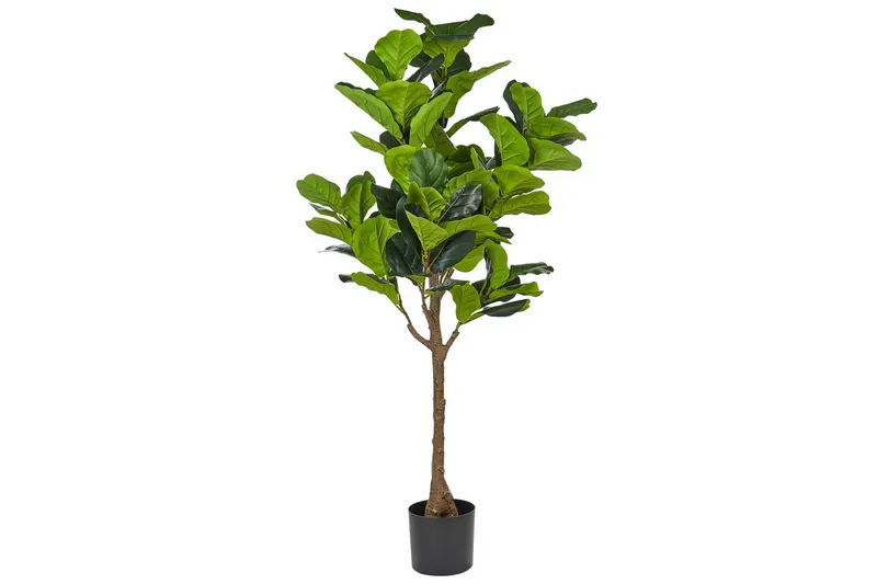 Konstgjord växt Fig Tree - Inredning - Dekoration & inredningsdetaljer - Prydnadssaker - Blomsterdekoration