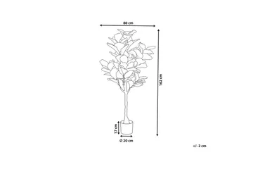 Konstgjord växt Fig Tree - Inredning - Dekoration & inredningsdetaljer - Prydnadssaker - Blomsterdekoration
