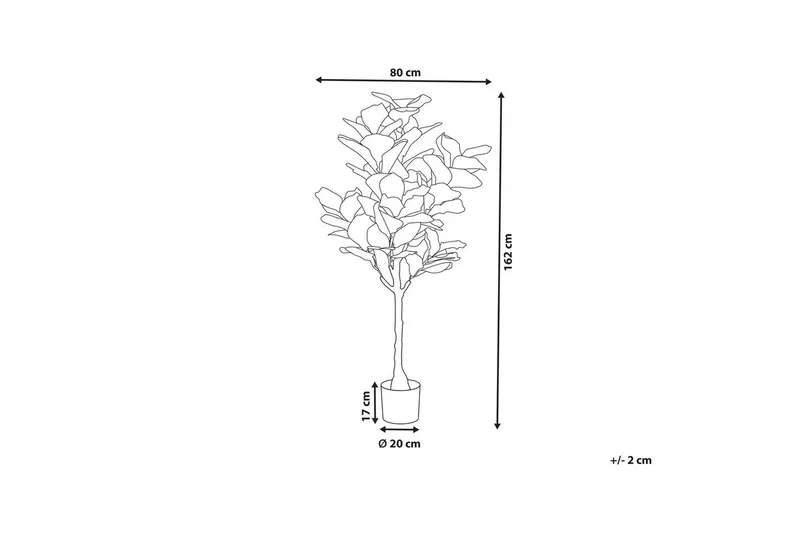 Konstgjord växt Fig Tree - Inredning - Dekoration & inredningsdetaljer - Prydnadssaker - Blomsterdekoration