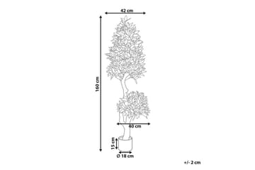 Konstgjord växt Laurele - Inredning - Dekoration & inredningsdetaljer - Prydnadssaker - Blomsterdekoration