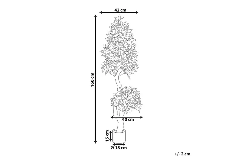 Konstgjord växt Laurele - Inredning - Dekoration & inredningsdetaljer - Prydnadssaker - Blomsterdekoration