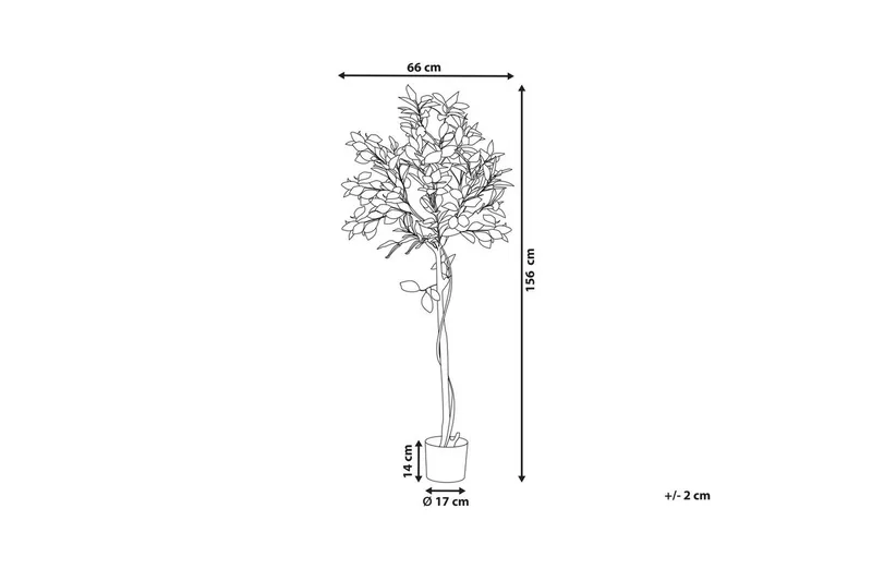 Konstgjord växt Lemon Tree 66x66x156 cm - 66x66x156 cm - Inredning - Dekoration & inredningsdetaljer - Prydnadssaker - Blomsterdekoration