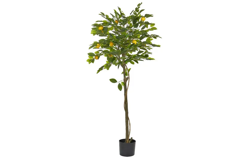 Konstgjord växt Lemon Tree 66x66x156 cm, 66x66x156 cm