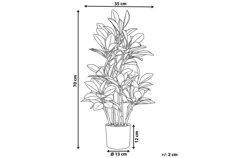 Konstgjord växt Magnolia - Inredning - Dekoration & inredningsdetaljer - Prydnadssaker - Blomsterdekoration