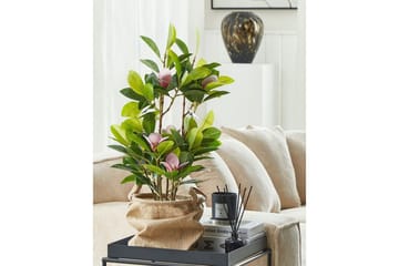 Konstgjord växt Magnolia - Inredning - Dekoration & inredningsdetaljer - Prydnadssaker - Blomsterdekoration