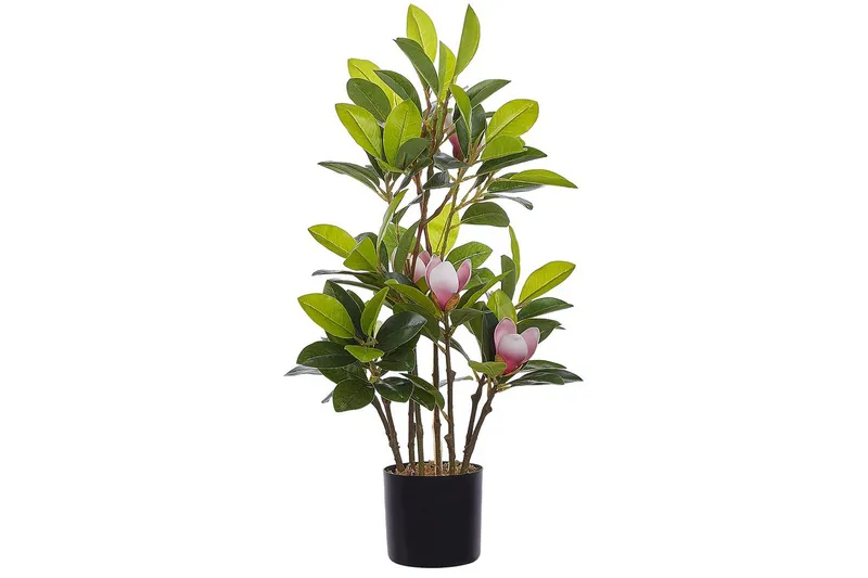 Konstgjord växt Magnolia