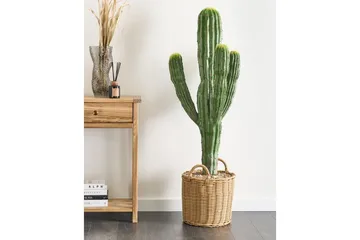 Konstgjord växt Marocco Cereus - Inredning - Dekoration & inredningsdetaljer - Prydnadssaker - Blomsterdekoration