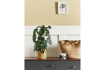 Konstgjord växt Monstera Adansonii - Inredning - Dekoration & inredningsdetaljer - Prydnadssaker - Blomsterdekoration