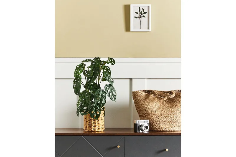 Konstgjord växt Monstera Adansonii - Inredning - Dekoration & inredningsdetaljer - Prydnadssaker - Blomsterdekoration
