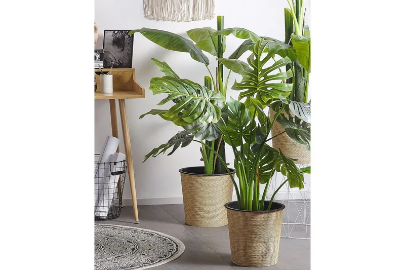 Konstgjord växt Monstera Plant 12x12x113 cm - 12x12x113 cm - Inredning - Dekoration & inredningsdetaljer - Prydnadssaker - Blomsterdekoration