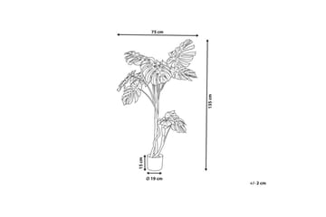 Konstgjord växt Monstera Plant 75x75x135 cm - 75x75x135 cm - Inredning - Dekoration & inredningsdetaljer - Prydnadssaker - Blomsterdekoration