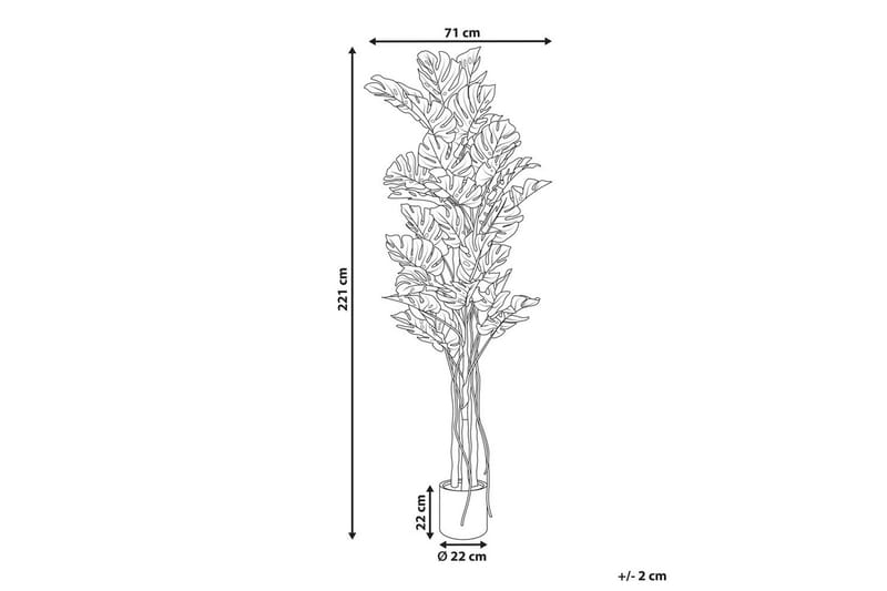 Konstgjord växt Monstera Plant 71x71x221 cm - 71x71x221 cm - Inredning - Dekoration & inredningsdetaljer - Prydnadssaker - Blomsterdekoration