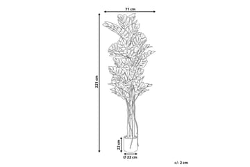 Konstgjord växt Monstera Plant 71x71x221 cm - 71x71x221 cm - Inredning - Dekoration & inredningsdetaljer - Prydnadssaker - Blomsterdekoration