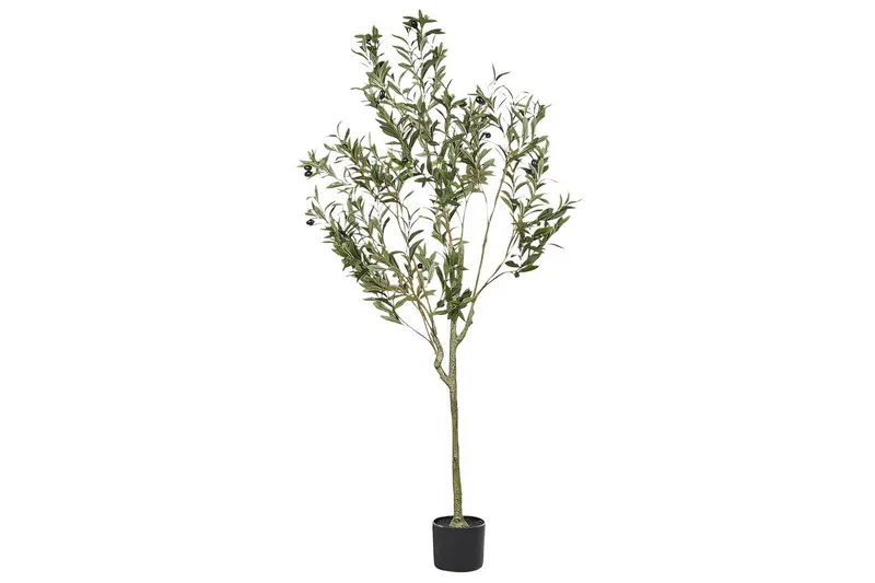 Konstgjord växt Olive Tree 63x63x153 cm, 63x63x153 cm