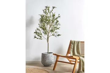 Konstgjord växt Olive Tree 63x63x153 cm - 63x63x153 cm - Inredning - Dekoration & inredningsdetaljer - Prydnadssaker - Blomsterdekoration