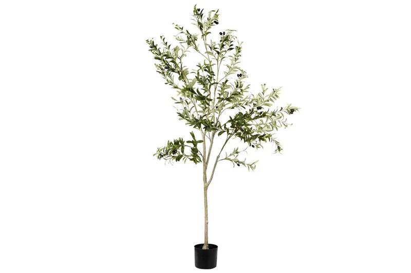 Konstgjord växt Olive Tree 75x75x178 cm, 75x75x178 cm