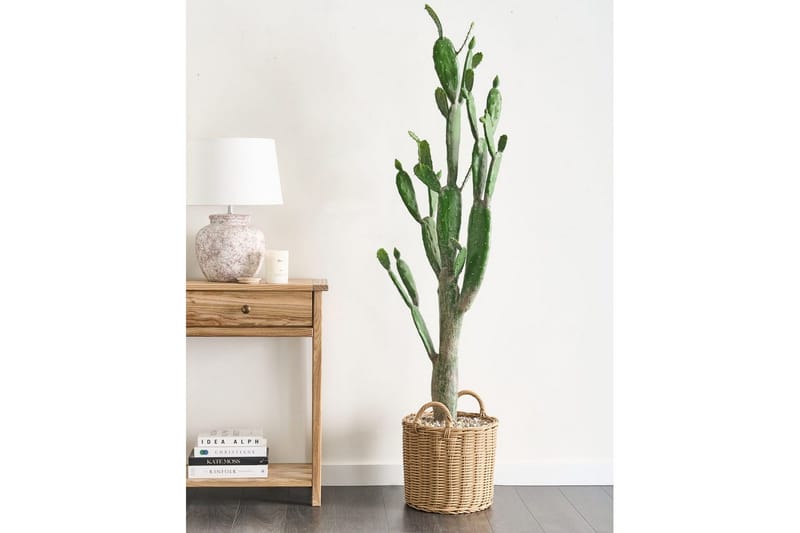 Konstgjord växt Opuntia Cactus - Inredning - Dekoration & inredningsdetaljer - Prydnadssaker - Blomsterdekoration