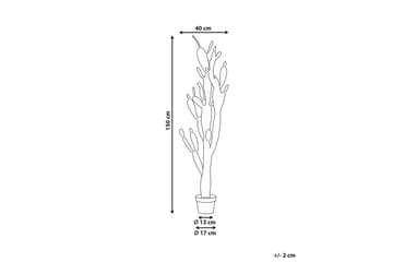 Konstgjord växt Opuntia Cactus - Inredning - Dekoration & inredningsdetaljer - Prydnadssaker - Blomsterdekoration