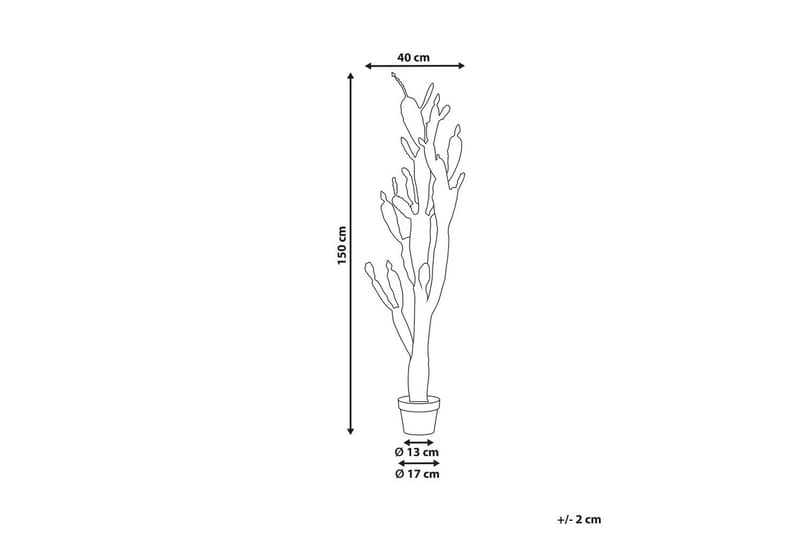 Konstgjord växt Opuntia Cactus - Inredning - Dekoration & inredningsdetaljer - Prydnadssaker - Blomsterdekoration