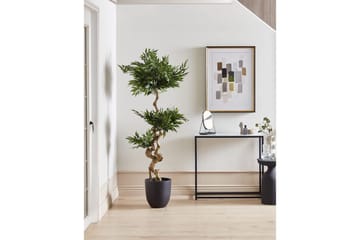 Konstgjord växt Ruscus Tree - Inredning - Dekoration & inredningsdetaljer - Prydnadssaker - Blomsterdekoration