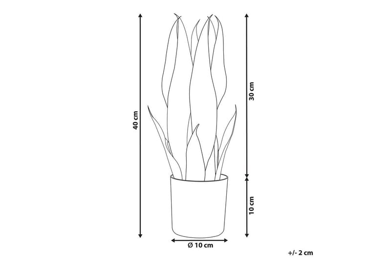 Konstgjord växt Snake Plant 10x10x40 cm - 10x10x40 cm - Inredning - Dekoration & inredningsdetaljer - Prydnadssaker - Blomsterdekoration