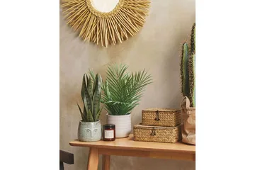 Konstgjord växt Snake Plant 10x10x40 cm - 10x10x40 cm - Inredning - Dekoration & inredningsdetaljer - Prydnadssaker - Blomsterdekoration