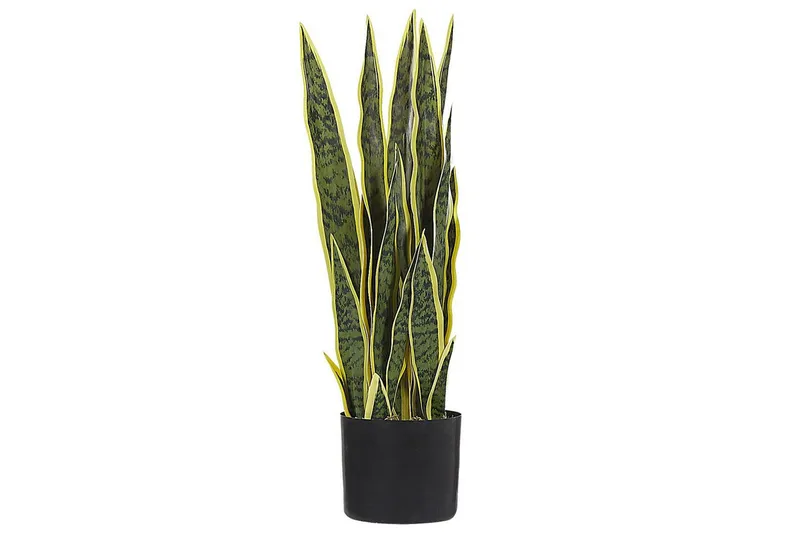 Konstgjord växt Snake Plant 15x15x63 cm, 15x15x63 cm
