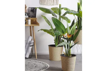 Konstgjord växt Strelitzia Tree - Inredning - Dekoration & inredningsdetaljer - Prydnadssaker - Blomsterdekoration