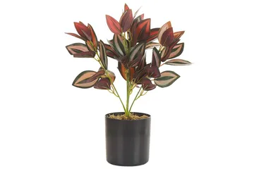 Konstgjord växt Tradescantia - Inredning - Dekoration & inredningsdetaljer - Prydnadssaker - Blomsterdekoration