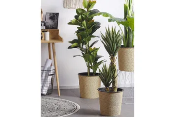 Konstgjord växt Yucca 16x16x90 cm - 16x16x90 cm - Inredning - Dekoration & inredningsdetaljer - Prydnadssaker - Blomsterdekoration