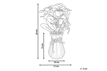 Konstgjord växt Peperomia Argyreia - Inredning - Dekoration & inredningsdetaljer - Prydnadssaker - Blomsterdekoration