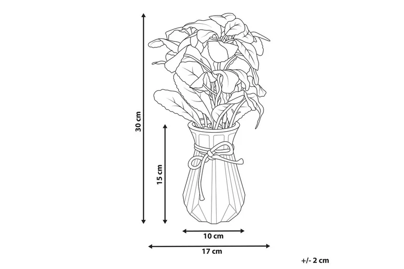 Konstgjord växt Peperomia Argyreia - Inredning - Dekoration & inredningsdetaljer - Prydnadssaker - Blomsterdekoration