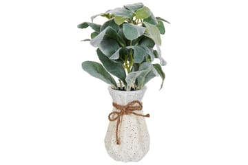 Konstgjord växt Peperomia Argyreia - Inredning - Dekoration & inredningsdetaljer - Prydnadssaker - Blomsterdekoration