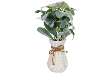 Konstgjord växt Peperomia Argyreia - Inredning - Dekoration & inredningsdetaljer - Prydnadssaker - Blomsterdekoration