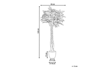 Konstgjord växt Pachira Tree - Inredning - Dekoration & inredningsdetaljer - Prydnadssaker - Blomsterdekoration