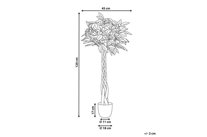 Konstgjord växt Pachira Tree - Inredning - Dekoration & inredningsdetaljer - Prydnadssaker - Blomsterdekoration
