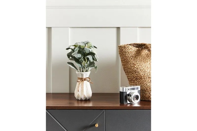 Konstgjord växt Peperomia Argyreia - Inredning - Dekoration & inredningsdetaljer - Prydnadssaker - Blomsterdekoration