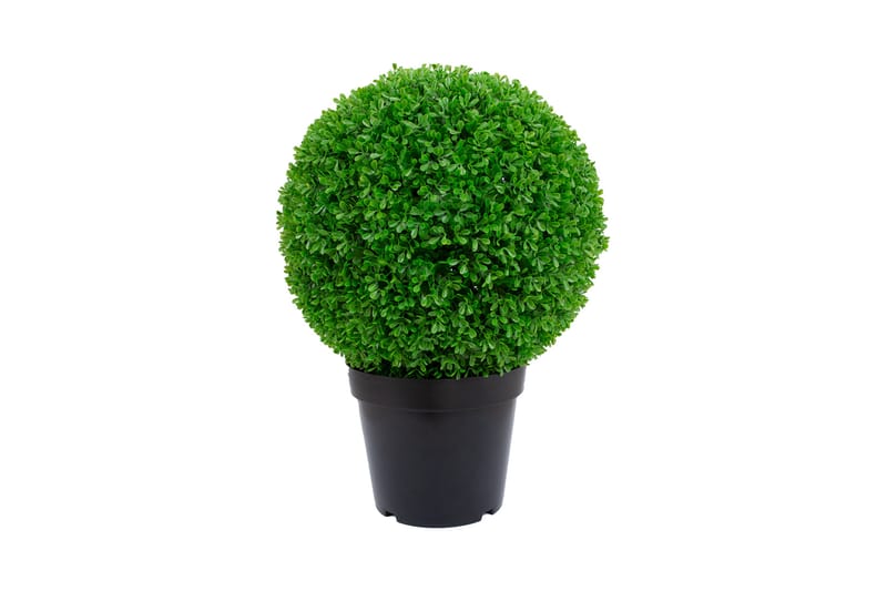 Konstväxt Buxbom -   - Konstväxt & plastblommor - Blomsterdekoration