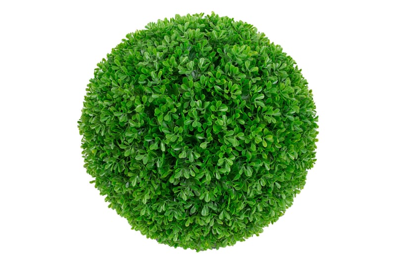 Konstväxt Buxbom -   - Konstväxt & plastblommor - Blomsterdekoration